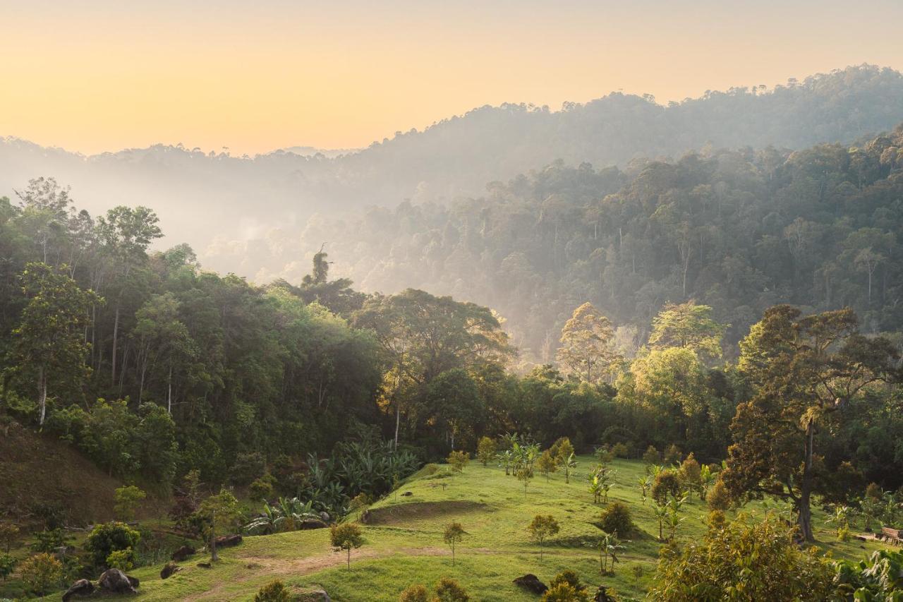 Ellin Forest Karaoke & Pool Resort Bukit Tinggi ベントン エクステリア 写真